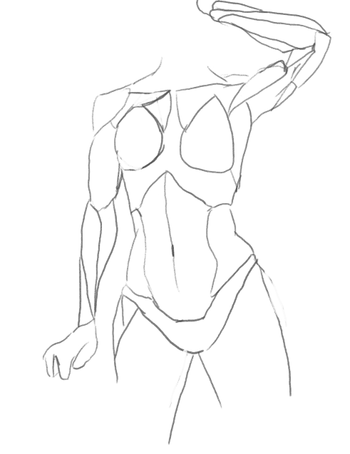 FemaleAnatomy